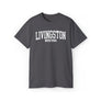 Livingston Montana t-shirt