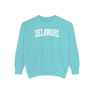 Delaware Comfort Colors Sweatshirt