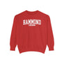 Hammond Louisiana Comfort Colors Sweatshirt