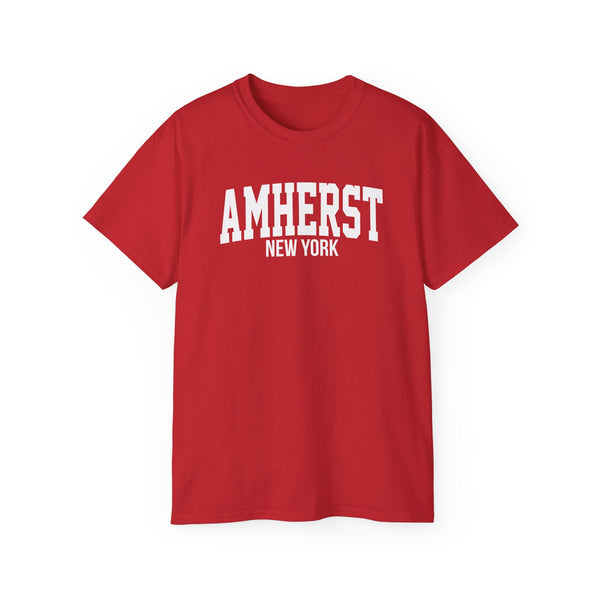 Amherst New York t-shirt
