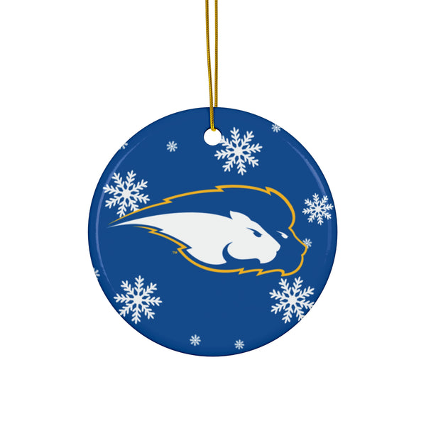 Hofstra Ceramic Ornaments