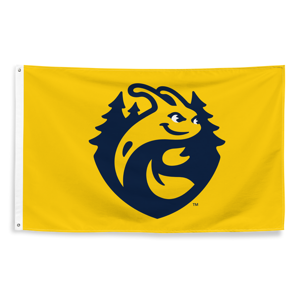 UCSC Flag