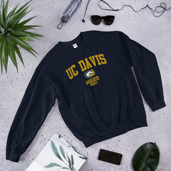 UC Davis Class of 2023