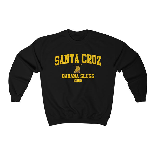 UC Santa Cruz Class of 2025
