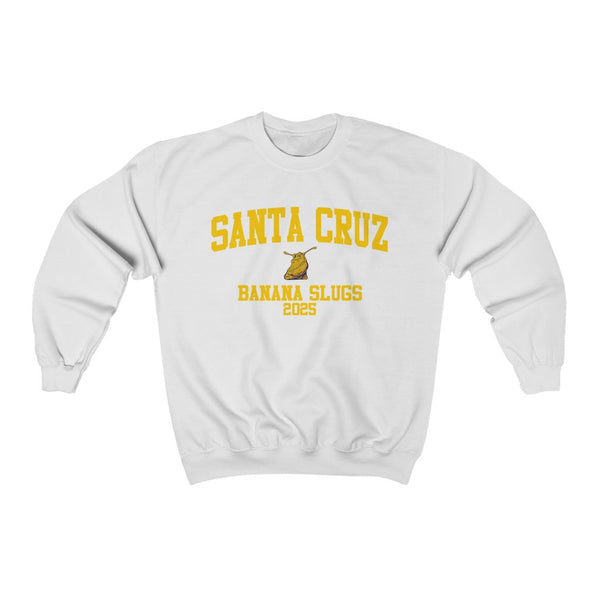 UC Santa Cruz Class of 2025