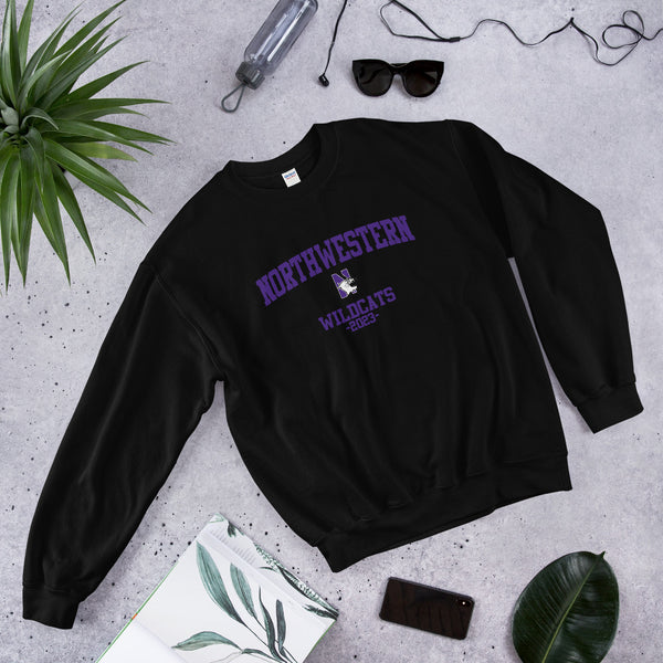Northwestern Class of 2023