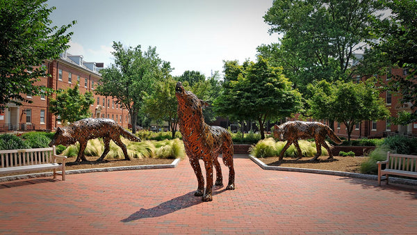 NC State Packing List: What to Bring on Move In Day