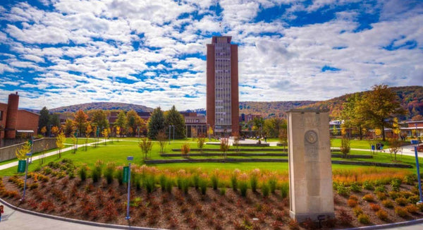 Binghamton University Packing List: What to Bring on Move In Day
