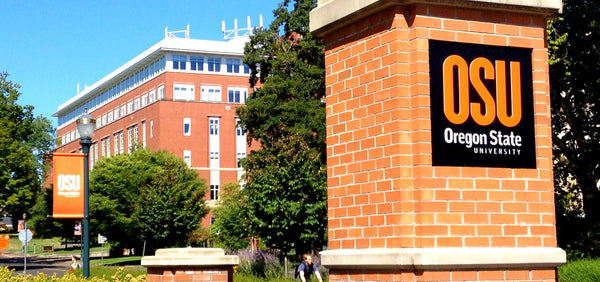 Oregon State Packing List: What to Bring on Move In Day