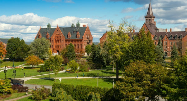 University of Vermont Packing List: What to Bring on Move In Day