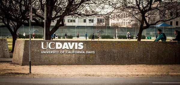 7 Things Not to Bring to UC Davis
