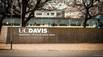 7 Things Not to Bring to UC Davis