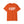 Albany New York t-shirt