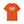 Troy New York t-shirt