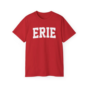 Erie Pennsylvania t-shirt