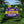 Personalized LSU Graduation Yard Sign