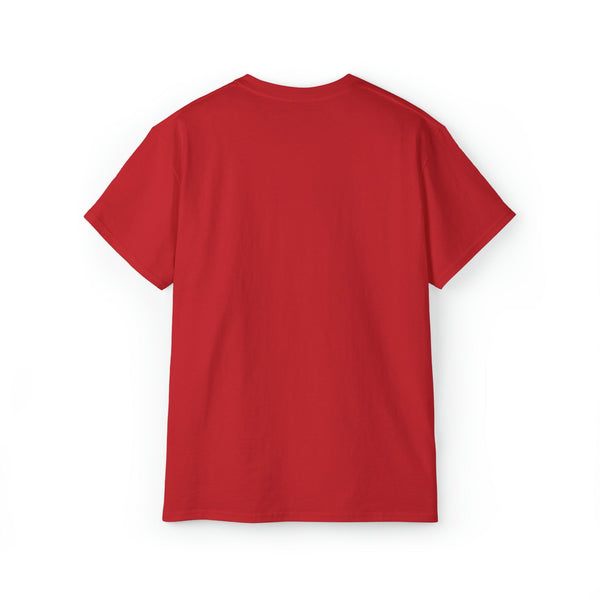 Ashburn Virginia T-Shirt