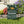 Personalized Cal Poly Pomona 2030 Yard Flag