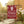 Personalized IU 2025 Graduate Yard Flag
