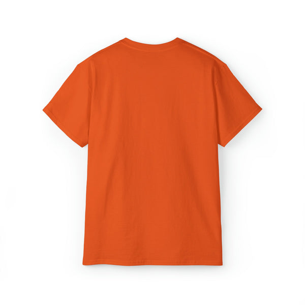 Ashburn Virginia T-Shirt