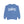 Davie Florida Comfort Colors Sweatshirt