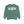 Arlington Texas Comfort Colors Sweatshirt