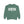 Denton Texas Comfort Colors Sweatshirt