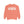 Arlington Texas Comfort Colors Sweatshirt