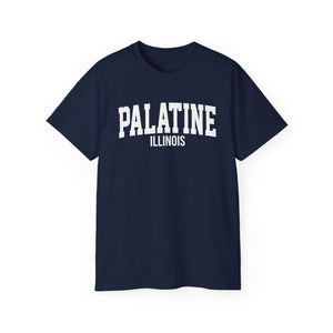 Palatine Illinois t-shirt