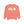 Sugar Land Texas Comfort Colors Sweatshirt