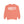 Mesquite city Texas Comfort Colors Sweatshirt