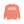 College Station Texas Comfort Colors Sweatshirt