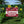 Personalized College Graduation Yard Sign