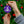 Winona State Ceramic Ornaments
