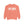 Fort Worth Texas Comfort Colors Sweatshirt