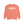 Abbeville Louisiana Comfort Colors Sweatshirt