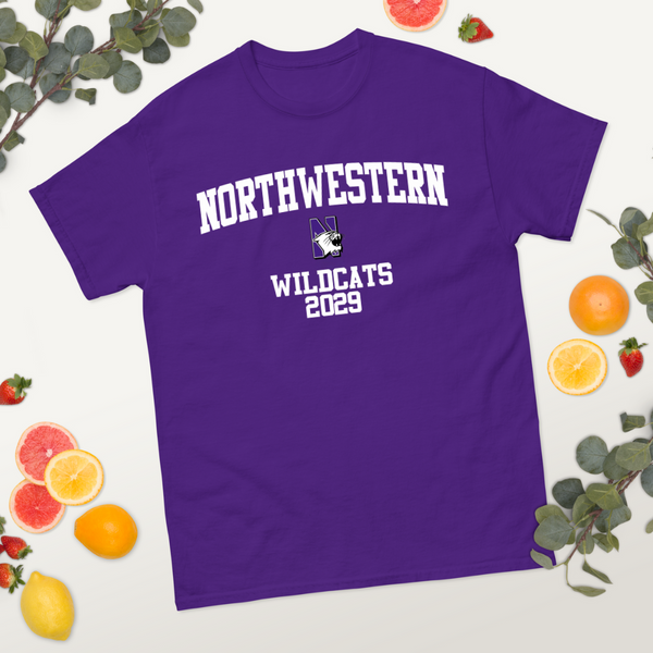 Northwestern Class of 2029