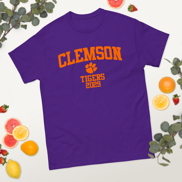 Clemson Class of 2029