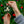 Apex Ceramic Ornaments