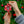 NC State Ceramic Ornaments
