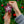 Evangel Ceramic Ornaments