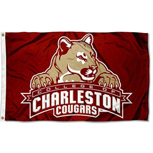 College of Charleston Flag