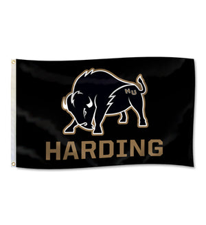 Harding University Flag