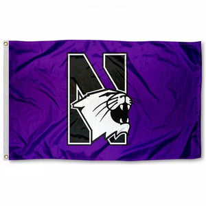 Northwestern University Flag