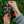 UIUC Ceramic Ornaments