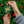 SUNY Oswego Ceramic Ornaments