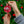 Denison Ceramic Ornaments