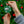 EMU Ceramic Ornaments