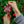 UMass Amherst Ceramic Ornaments