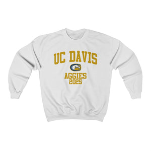 UC Davis Class of 2025